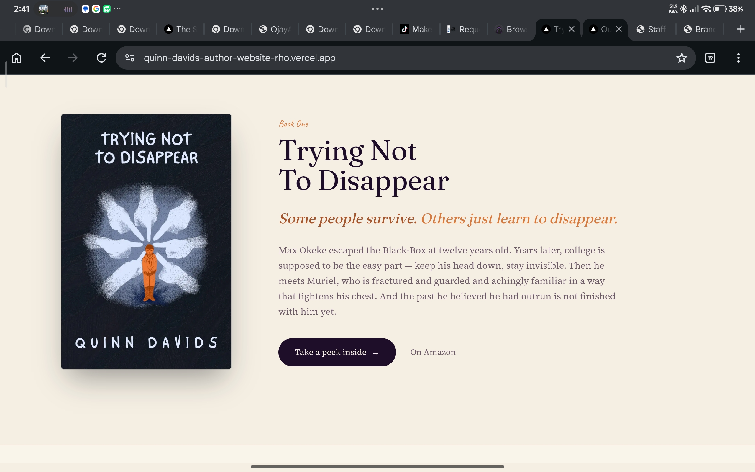 Quinn Davids home page — second view