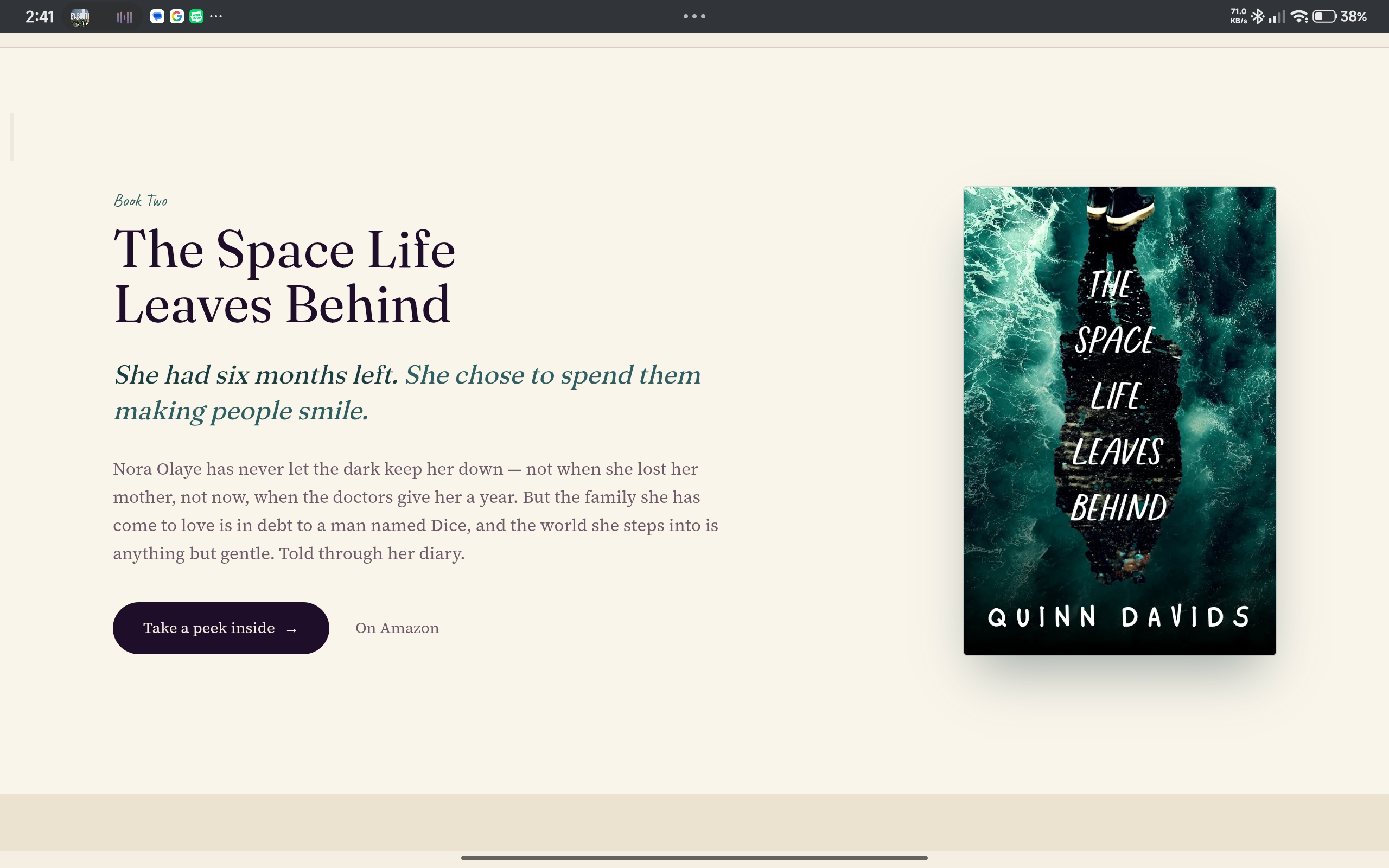 Quinn Davids — Book One page in the Midnight + Ember colour world